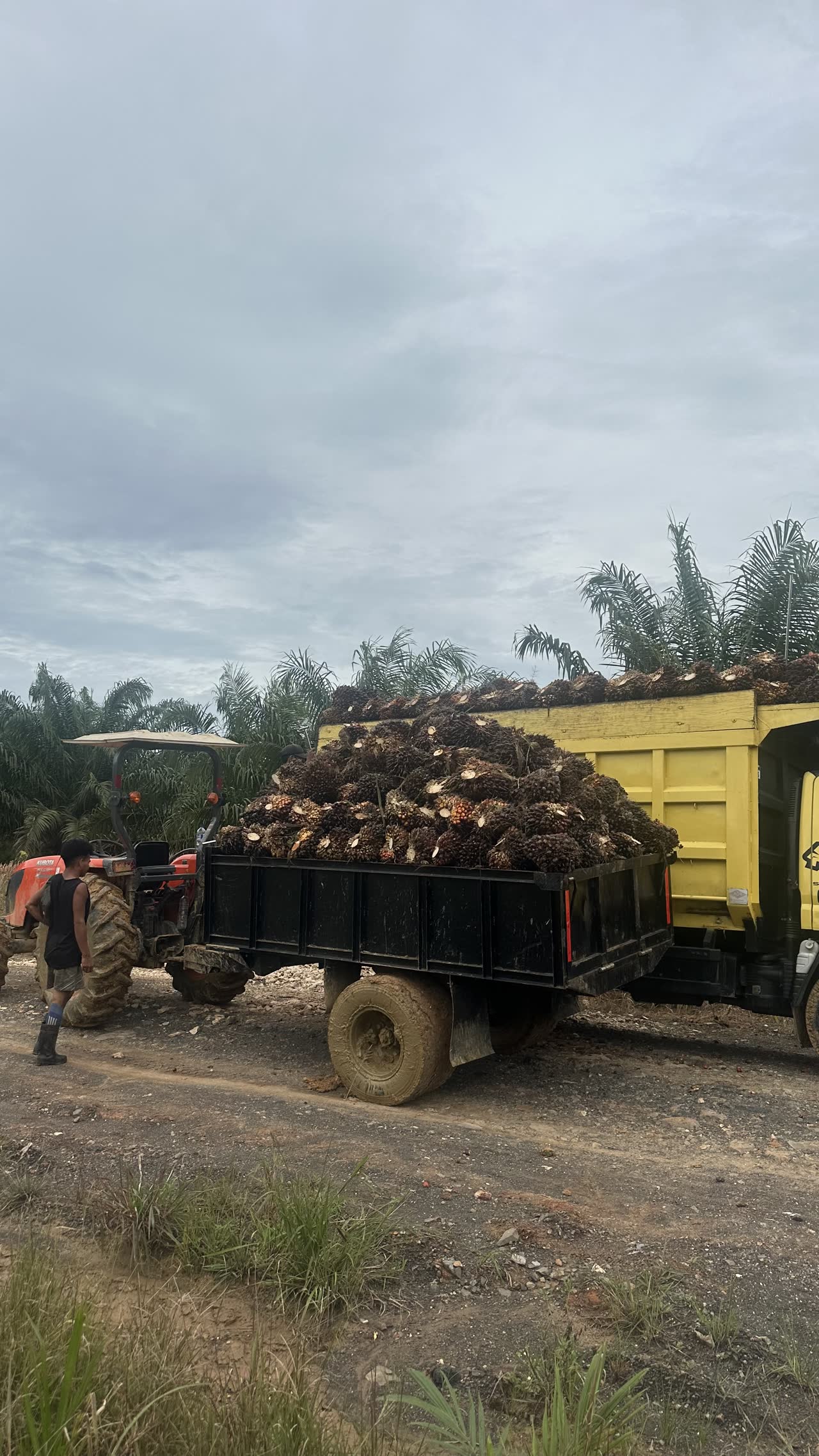 Produk CV Nurul Madani